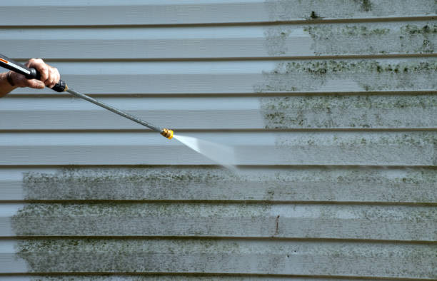 Best Affordable Pressure Washing  in Belmont, VA