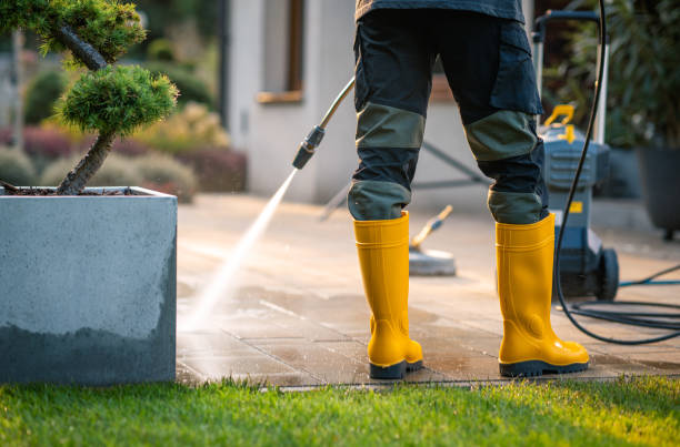 Best Roof Pressure Washing  in Belmont, VA